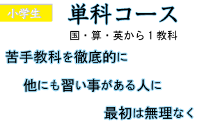 苦手教科克服,塾に慣れるまで,単科コース